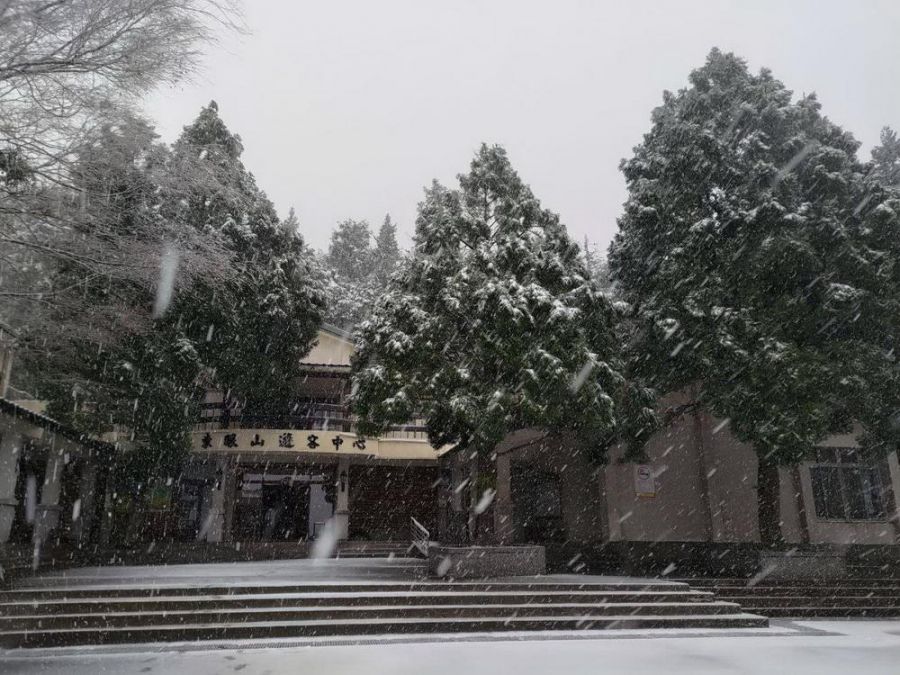 拉拉山及東眼山國家森林遊樂區　喜迎降雪遊客步行入園賞雪