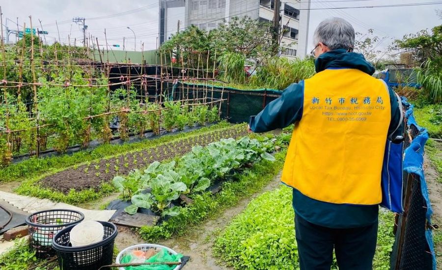 欠稅女20年不知繼承「阿爸的菜園」 竹市稅務局幫她繼承祖產