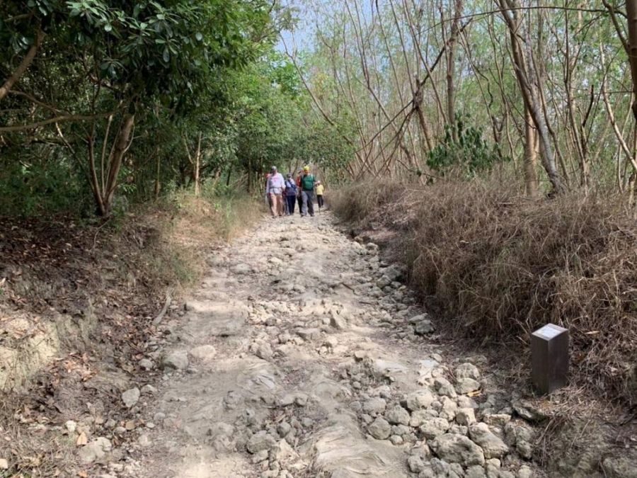 半屏山瞭望台道路改善完工  維護環境提升民眾登山安全