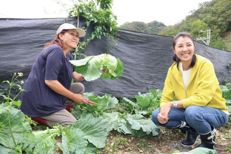 山陀兒颱風陸上警戒  許淑華不畏強風上山關心防災準備